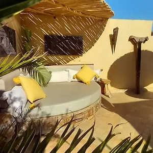 Miss Caracal Marrakesh